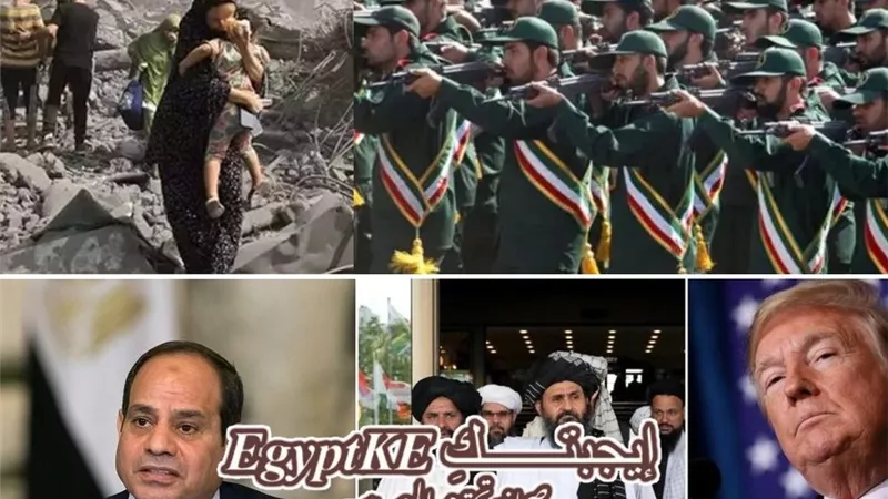 نشرة 