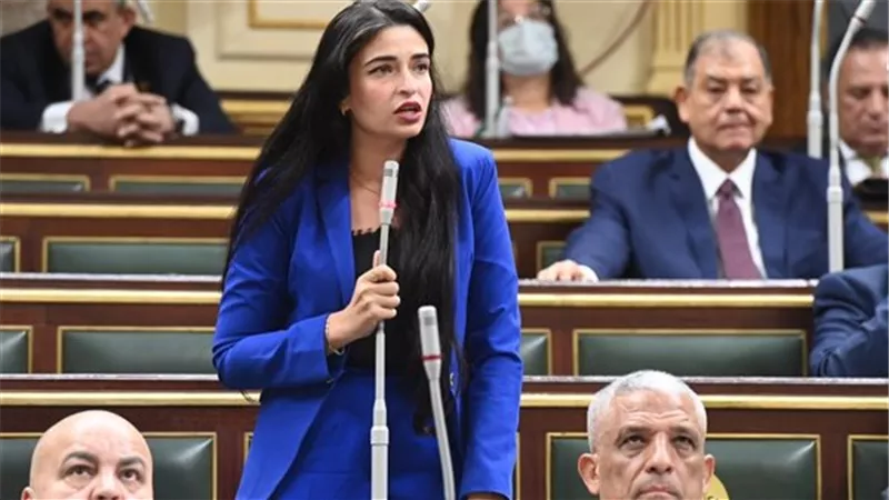 إيريني سعيد: الاعتراف الدولي بدولة فلسطين خطوة أساسية لإنهاء حرب غزة| فيديو
