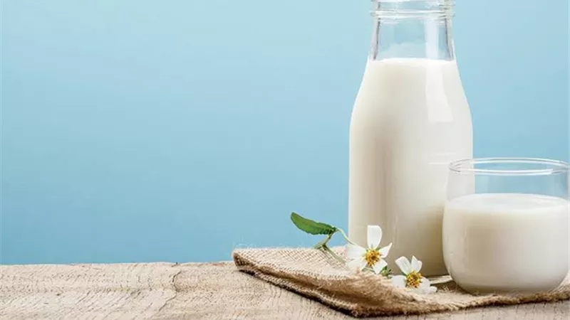 صحة القلب تبدأ من كوب حليب: كامل الدسم أم خالٍ؟
