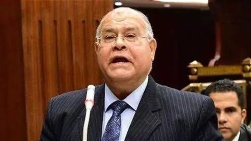 ناجي الشهابى: قرار وزير العدل بتوفير 200 ألف إقرار ذمة مالية أنقذ العملية الانتخابية