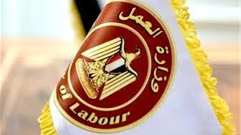 «العمل» تعلن عن 25 فرصة عمل جديدة بالتعاون مع شركة تجارة وتسويق بالجيزة