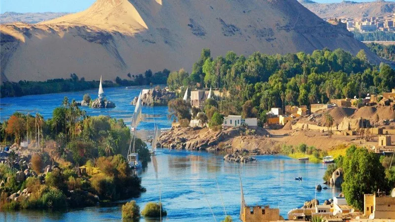 جزيرة النباتات في أسوان: متحف طبيعي يروي سحر النيل وتاريخ مصر
