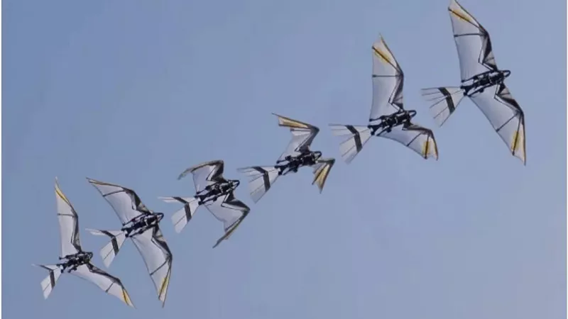 فالكون 2.. ابتكار صيني يدمج الطبيعة والتكنولوجيا في روبوت طائر