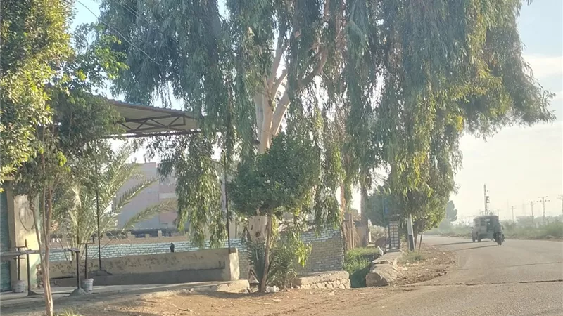 شمس دافئة تعود إلى الفيوم بعد ليلة ممطرة.. أجواء مستقرة اليوم