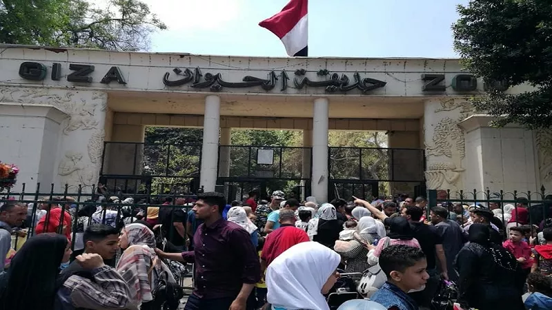 محمد كامل: الأوضاع الصحية داخل حديقة الحيوان تشهد تحسنا غير مسبوق| فيديو