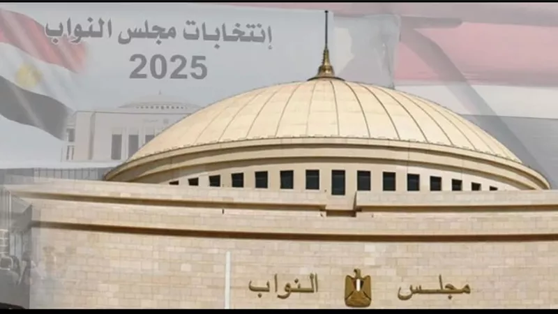 30 دائرة في 10 محافظات| حالات شطب المرشحين من سباق الانتخابات النواب