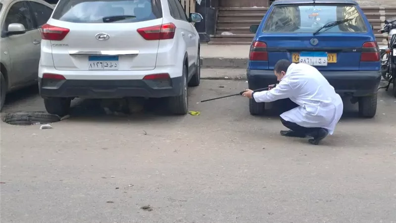 انطلاق حملة تحصين الكلاب ضد مرض السعار في المنصورة  
