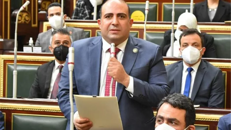 النائب محمد سليم: التعديل الوزاري يعكس توجه الدولة نحو تجديد الدماء  