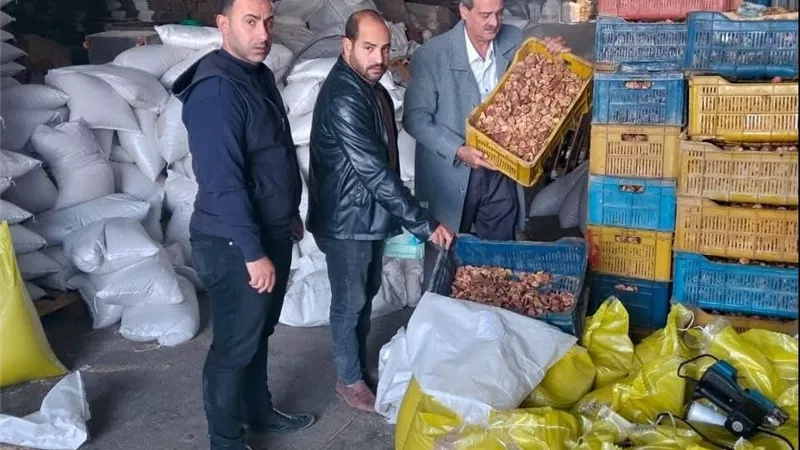 لبيعها في رمضان.. تموين الشرقية يضبط 170 طن سلع غذائية منتهية الصلاحية|صور