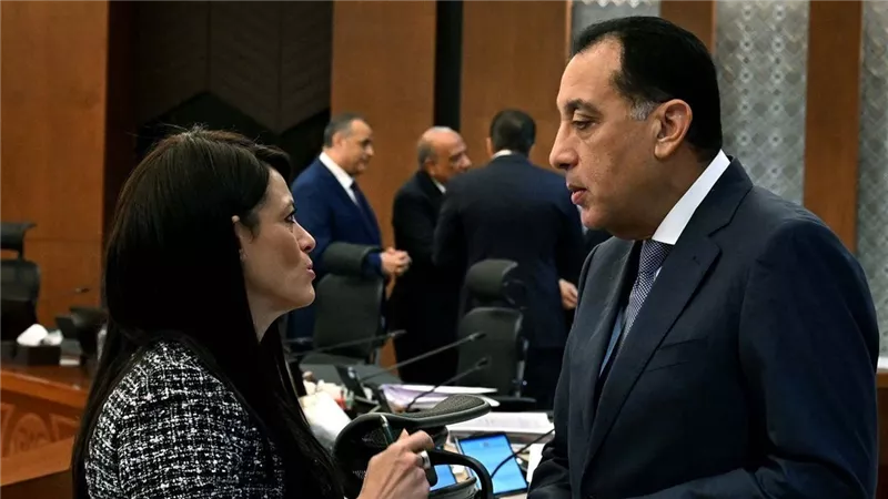 خلال اجتماع الوزراء.. المشاط: التضخم يتراجع بنحو 0.2% خلال نوفمبر الماضي