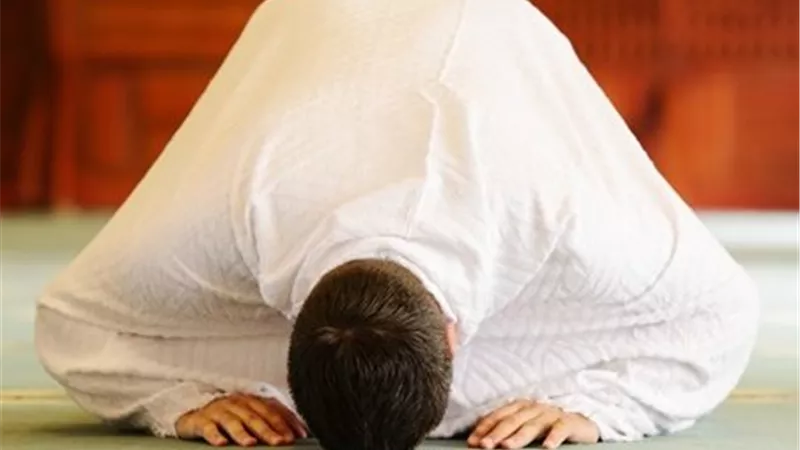 أمين الفتوى يوضح فضل صلاة الضحى ووقتها الصحيح