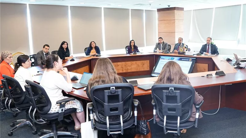 «الرقابة المالية» و«البنك الدولي» يناقشان تنظيمات تمويل المشروعات الصغيرة 