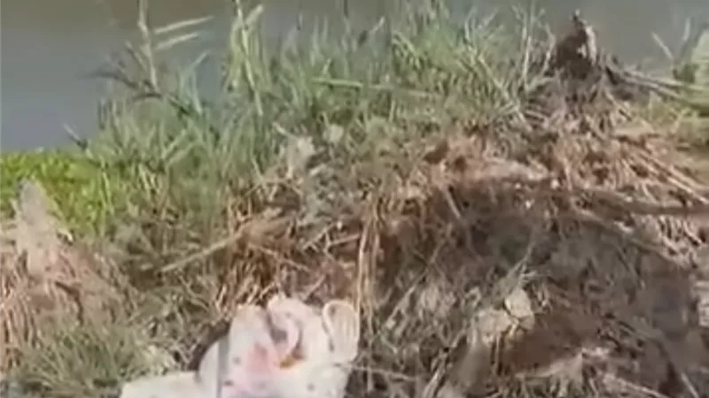 «في عز البرد».. مراهقة تلقي رضيعها قرب بحر دكرنس 