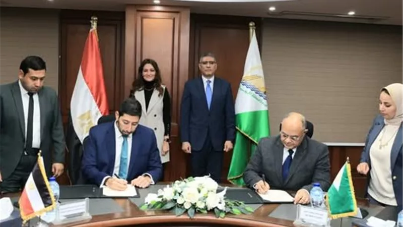 بعد الكيوت.. «الرابيت» يظهر قريبا فى شوارع الجيزة عبر «الموبايل»