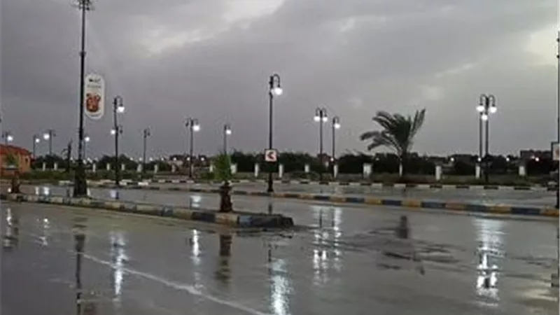 طقس الإسماعيلية: شبورة صباحية وأمطار خفيفة
