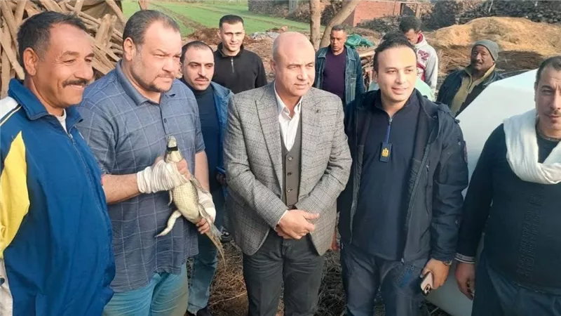 محافظ الشرقية يعلن تفاصيل اصطياد تمساح الزوامل بمركز بلبيس