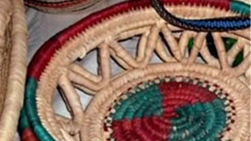 وزارة التضامن تشارك في المؤتمر الدولي الـ 15 لاتحاد النحالين العرب