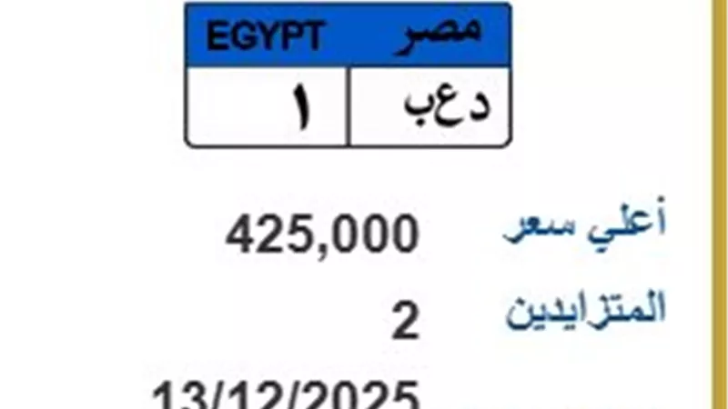 منافسة محتدمة في مزاد المرور.. سعر لوحة معدنية يتجاوز 425 جنيهًا