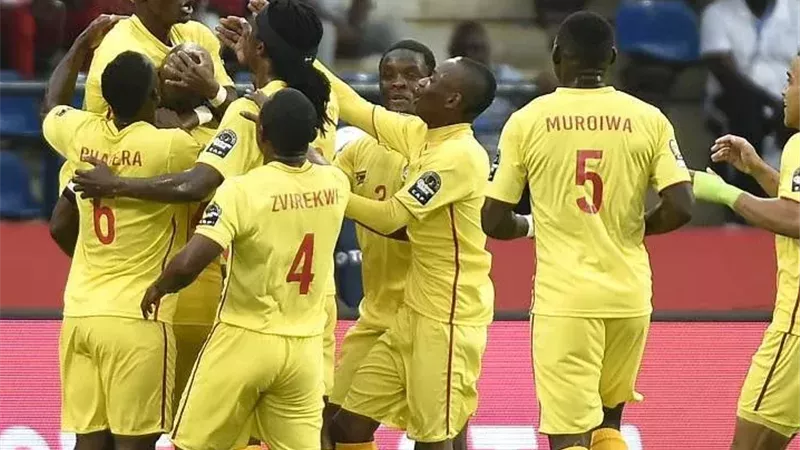 منافس مصر.. 13 محترفا أوروبي بقائمة زيمبابوي استعدادا لكأس أمم أفريقيا