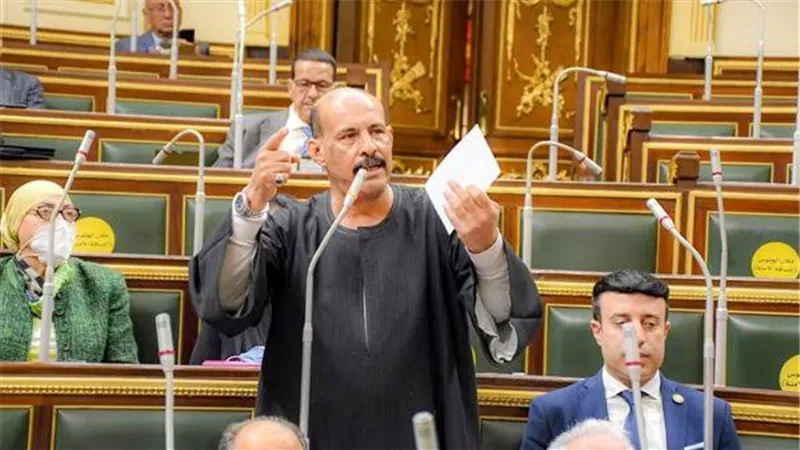 فوز ساحق لقنديل.. النتيجة الرسمية لانتخابات مجلس النواب بمحافظة قنا