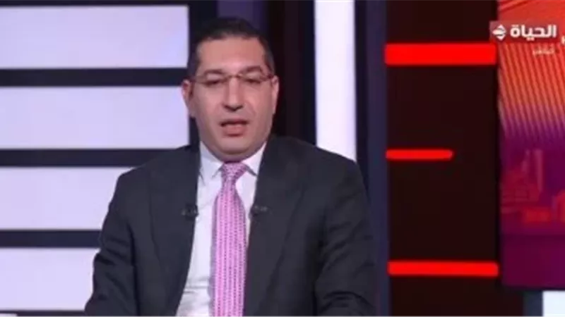 أستاذ علوم سياسية: الانتخابات الحالية تمثل خطوة صحية في المسار الديمقراطي