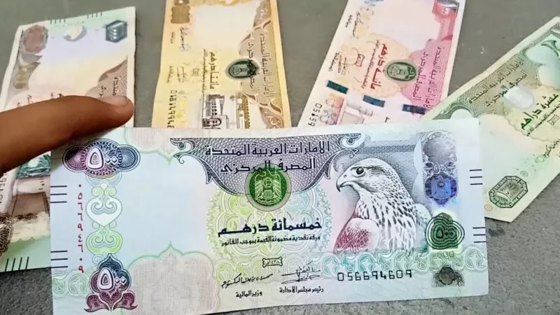 استقرار أسعار الدرهم الإماراتي.. تعرف على سعره في البنوك المصرية