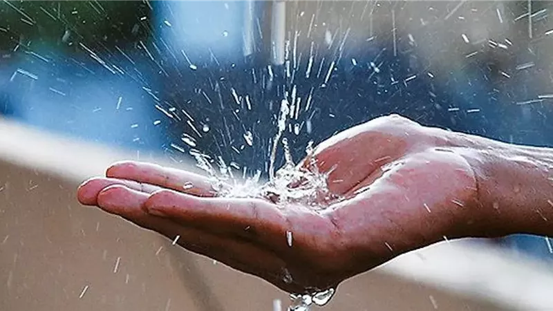 هل يجوز الوضوء بماء المطر؟.. دار الإفتاء تجيب