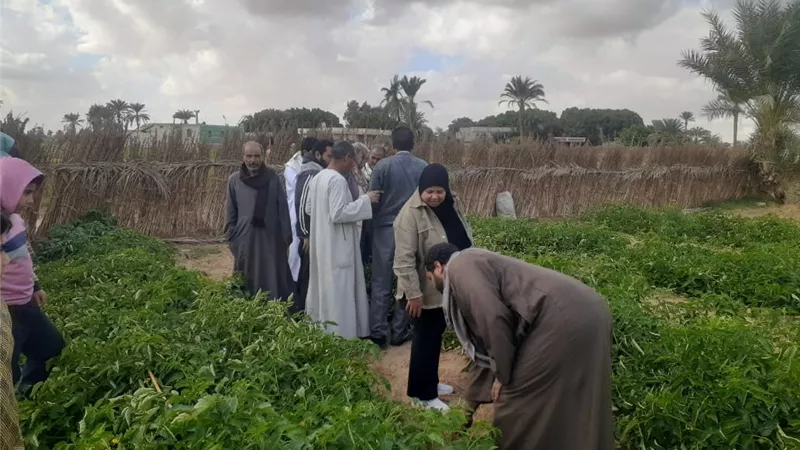 الزراعة تنفذ أكثر من 2000 ندوة إرشادية لـ أكثر من 30 ألف مزارع