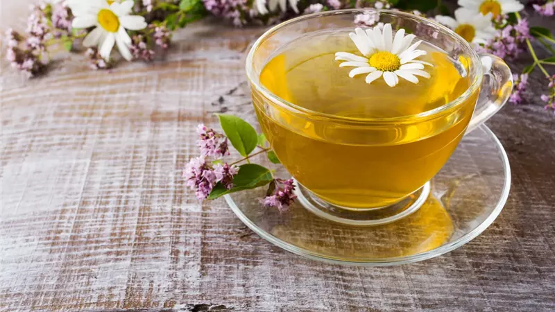منها خفض ضغط الدم.. فوائد عديدة لـ«البابونج»