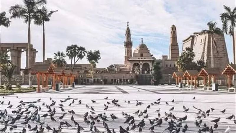 طقس اليوم في الأقصر.. درجة الحرارة 13 والجو مائل للبرودة صباحا