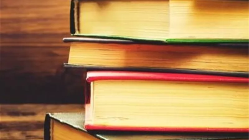 صدور «مذكرات زوجة الصرصار» للكاتب حسين عبد العزيز قريبا