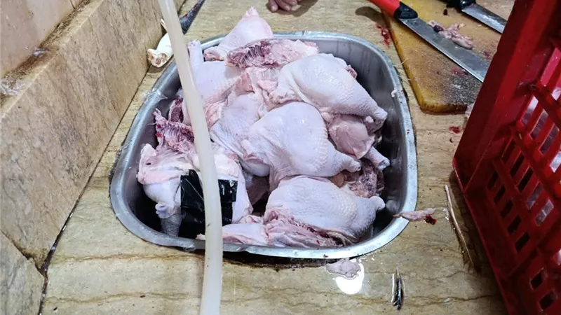 حملات تموينية على المحال التجارية والمنشآت والمخابز بمركز ومدينة قلين