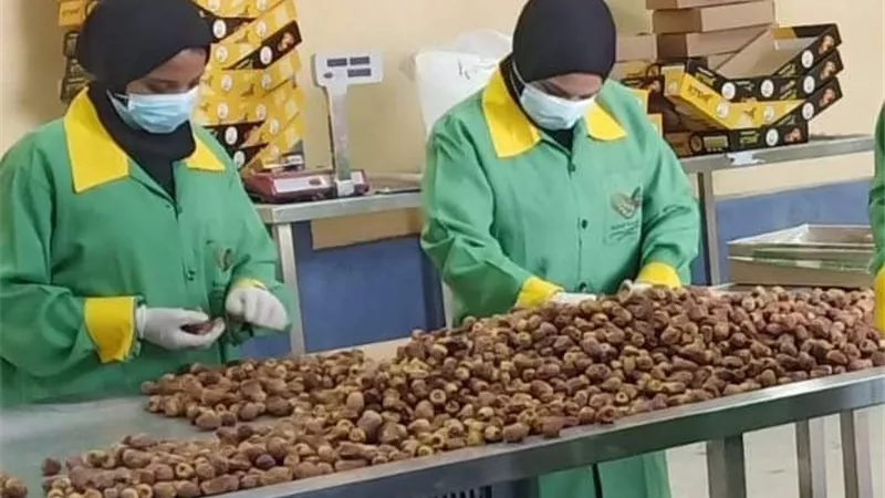 بـ13 مليون جنيه.. إقامة مصنعي تمور وأكواب ووحدة تعبئة بن بالوادي الجديد