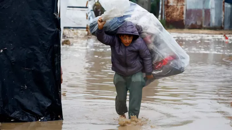 برد غزة يقتل الأطفال.. أحاديث عن نشر قوة دولية الشهر المقبل