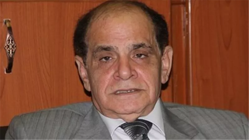 صلاح فوزي: لا إلغاء لانتخابات النواب.. الدستور واضح