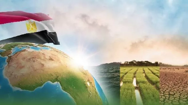 بلال شعيب: التبادل التجاري بين مصر وإفريقيا تجاوز 10 مليارات دولار| فيديو
