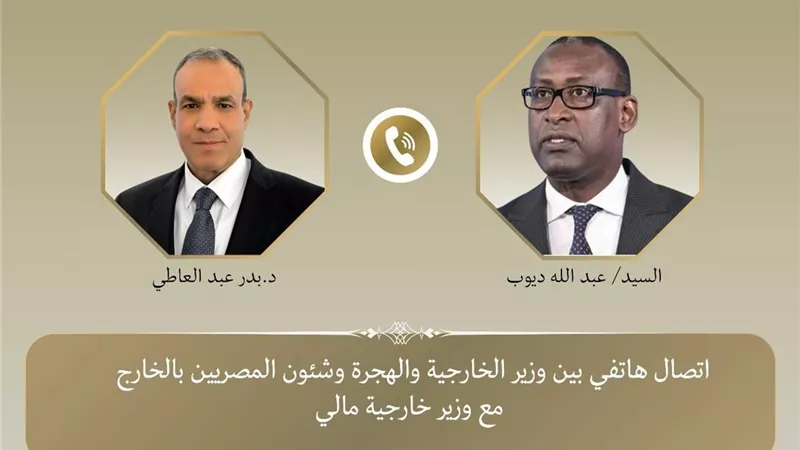 وزير الخارجية: مصر تدعم جهود مالي في مكافحة الإرهاب
