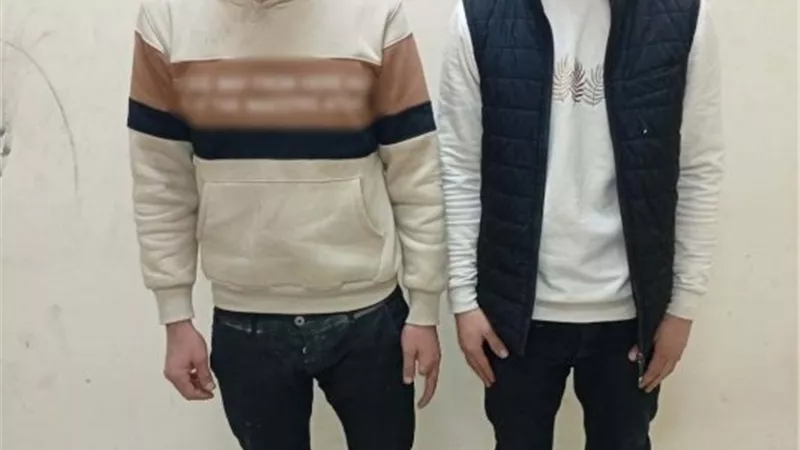 ضبط مرتكبي الاعتداء على سيدة أثناء نزولها من 