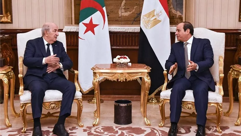 محلل جزائري: تفاهم كبير بين مصر والجزائر لحل أزمة ليبيا| خاص