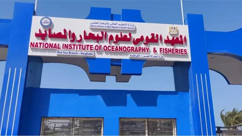 الذكاء الاصطناعي ضرورة حتمية لحماية المحيطات ودعم الاقتصاد الأزرق