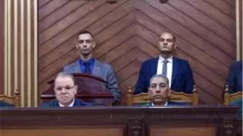 تأجيل محاكمة نجل عبد المنعم أبو الفتوح بتهمة الانضمام لجماعة إرهابية