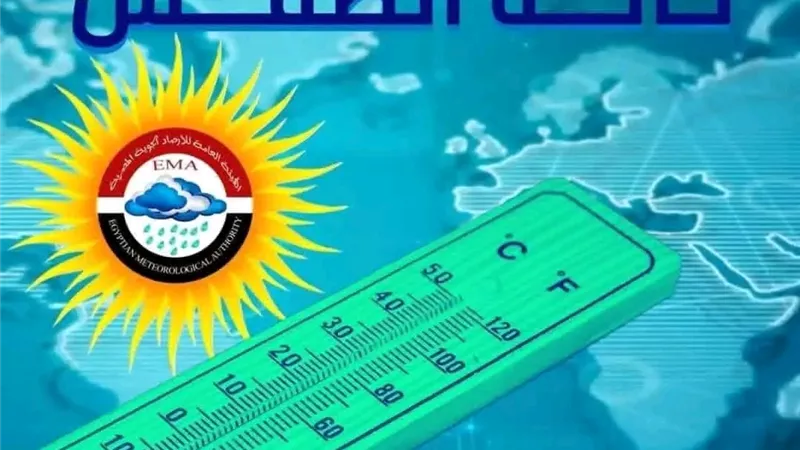 تقلبات جوية تضرب الدقهلية اليوم.. برودة وشبورة وأمطار متوقعة