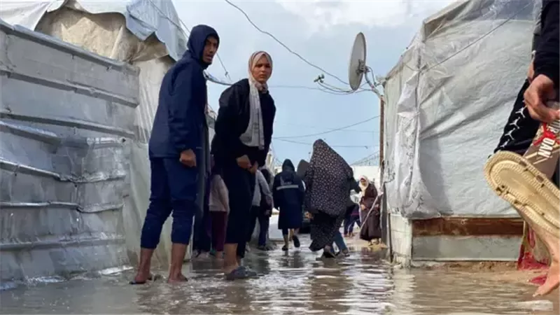 سري القدوة: الوضع في غزة كارثي والموقف الدولي مطالب بتحرك عاجل