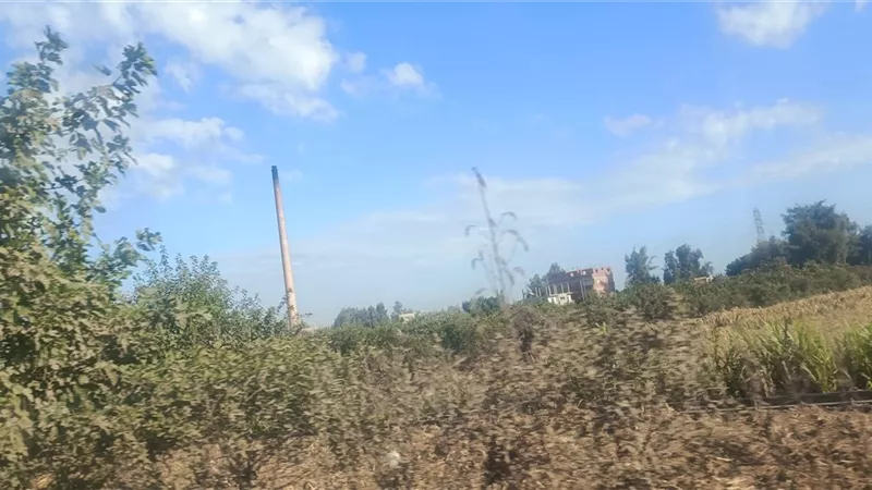 برودة في الأجواء صباحا ومساء بالمنوفية.. واعتدال الحرارة نهارًا