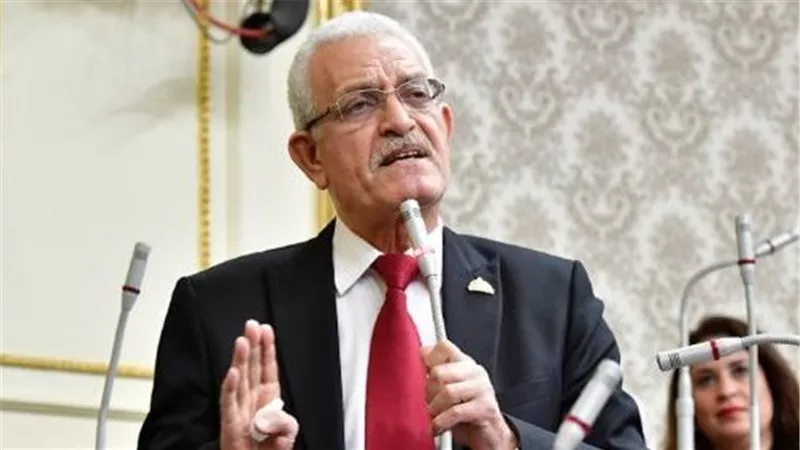 مغاوري لـ«إيجبتكِ»: الرشاوى الانتخابية تهدد إرادة الناخب وشرعية النتائج