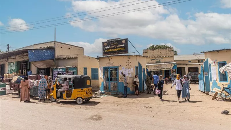 الدعم السريع يغلق منظمة إنسانية في وسط دارفور ويوقف نشاطها