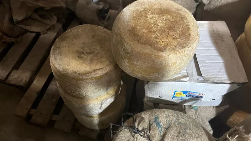 ضبط 20 طنًا أجبان غير صالحة للاستهلاك الآدمي خلال حملة تموينية بالإسكندرية