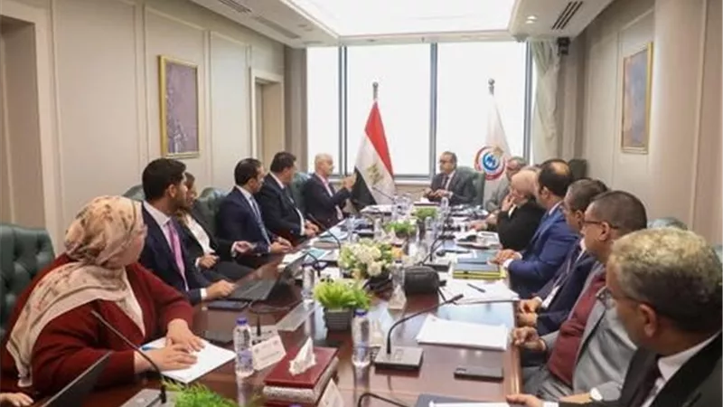 وزارة الصحة تبحث التعاون مع شركتي Curagita وACH لمشروع مدينة النيل الطبية
