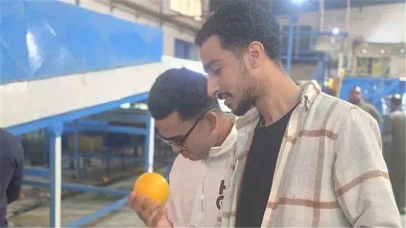 من قاعات الدراسة إلى أرض المصنع.. 