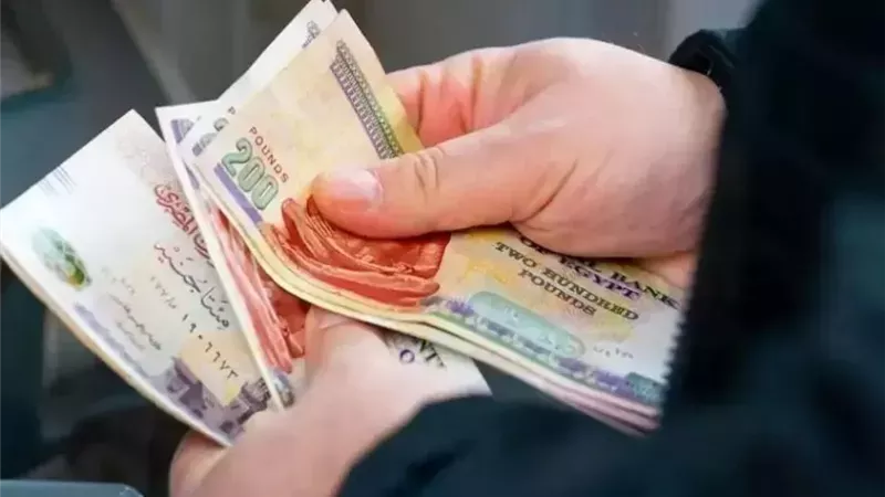 بالزيادة الجديدة.. «المالية» تعلن موعد صرف مرتبات ديسمبر 2025 رسميًا